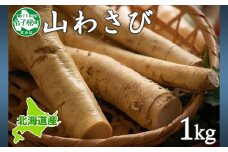 3165. 天然 山わさび 1kg前後 産地直送 薬味 肉 BBQ バーベキュー 焼き肉 送料無料 北海道 弟子屈町