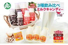 783.牛のおっぱいミルク 3本 コーヒーミルク3本 のむヨーグルト3本 計9本 おっぱいミルクキャンディー1個 セット 牛乳 生乳 ミルク 牛 酪農 飲料 しぼりたて 珈琲 ヨーグルト 飴 お取り寄せ ギフト gift 渡辺体験牧場 まとめ買い 北海道 弟子屈町