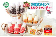 784.牛のおっぱいミルク 5本 コーヒーミルク5本 のむヨーグルト5本 計15本 おっぱいミルクキャンディー1個 セット 牛乳 生乳 ミルク 牛 酪農 飲料 しぼりたて 珈琲 ヨーグルト 飴 お取り寄せ ギフト gift 渡辺体験牧場 まとめ買い 北海道 弟子屈町
