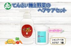 1150. シュクレモア ベジタブルシャンプー 300ml シュクレ シュガースクラブ 200g ABYSSAL アビサル ヘアケア セット 詰め合わせ ノンシリコン 天然由来 北海道 弟子屈町