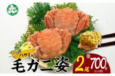 3334.カニ 蟹 毛蟹 2尾 計700g前後 食べ方ガイド・専用ハサミ付 カニ かに 蟹 海鮮 ボイル 送料無料 北海道 弟子屈町