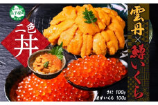 3404. うに チリ産 冷凍 100g 鱒いくら醤油漬け 100g セット ウニ 雲丹 ますいくら 鱒 マス イクラ いくら いくら醤油漬け 海鮮 海鮮丼 北海道 弟子屈町