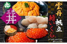 3429. うに チリ産 冷凍 100g 鱒いくら醤油漬け 100g ホタテ 100g セット ウニ 雲丹 いくら イクラ ますいくら ほたて  帆立 海鮮 海鮮丼 三色丼 送料無料 北海道 弟子屈町