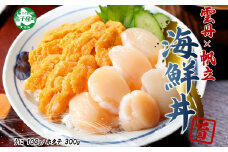 3382. うに チリ産 冷凍 100g ホタテ 300g セット ファミリー ウニ 雲丹 ほたて 生ほたて 帆立 貝柱 貝 冷凍 海鮮 海鮮丼 送料無料 北海道 弟子屈町
