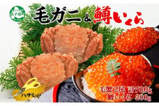 3436. 毛蟹 2尾 計700g前後 鱒いくら醤油漬け 200g 専用ハサミ・食べ方ガイド付き 毛ガニ 毛がに 蟹 カニ  鱒いくら いくら 醤油漬け ボイル 北海道 弟子屈町