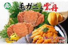 3418. 毛蟹 2尾 計700g前後 うに 100g 専用ハサミ・食べ方ガイド付き 毛ガニ 毛がに 蟹 カニ かに 蟹肉 カニ味噌 ウニ チリ産 冷凍 雲丹 海鮮 ボイル 送料無料 北海道 弟子屈町