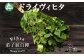 入浴中にさらにリフレッシュ。乾燥タイプのヴィヒタが大注目！