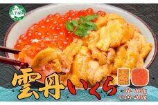 3366. うに 100g いくら醤油漬け 200g ウニ チリ産 冷凍 いくら 二色丼 雲丹 イクラ 海鮮 海鮮丼 うに丼 いくら丼 いくら醤油漬け 送料無料 北海道 弟子屈町