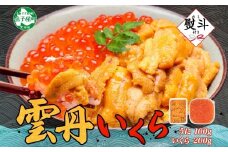 3403.  無地熨斗 うに 100g いくら醤油漬け 200g ウニ チリ産 冷凍 いくら 二色丼 雲丹 イクラ 海鮮 海鮮丼 うに丼 いくら丼 いくら醤油漬け のし 名入れ不可 送料無料 北海道 弟子屈町