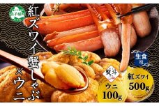 3551.  無地熨斗 紅ズワイ 蟹しゃぶ ビードロ 500g うに 100g 生食 紅ずわい ズワイガニ ずわいがに カニしゃぶ 蟹 カニ 雲丹 ウニ チリ産 冷凍 鍋 海鮮 セット ズワイ ずわい カット済 熨斗 のし 名入れ不可 送料無料 北海道 弟子屈町