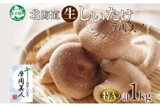 1949. しいたけ 特A 秀品 4パック 計1kg 摩周美人 シイタケ 椎茸 生しいたけ きのこ キノコ 菌床栽培 大粒 肉厚 BBQ バーベキュー 送料無料 北海道 弟子屈町 12000円