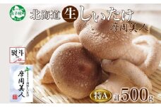 1805. 無地熨斗 しいたけ 特A 秀品 2パック 500g 摩周美人 シイタケ 椎茸 生しいたけ きのこ キノコ 菌床栽培 肉厚 熨斗 のし 名入れ不可 送料無料 北海道 弟子屈町 5000円