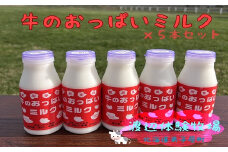 1851.牛のおっぱいミルク５本セット　渡辺体験牧場