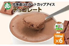 2330. くりーむ童話 カップアイス チョコレート 100ml×6個 チョコ アイスクリーム アイス スイーツ おやつ 牛乳 ミルク 贈り物 gift ギフト プレゼント 詰め合わせ 送料無料 北海道 弟子屈町