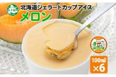 2327. くりーむ童話 カップアイス メロン 100ml×6個 アイスクリーム めろん アイス スイーツ おやつ 牛乳 ミルク 贈り物 gift ギフト プレゼント 詰め合わせ 送料無料 北海道 弟子屈町