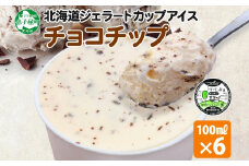 2335. くりーむ童話 カップアイス チョコチップ 100ml×6個 アイスクリーム アイス スイーツ 牛乳 ミルク 贈り物 gift ギフト プレゼント 詰め合わせ 送料無料 北海道 弟子屈町