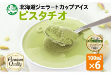 2337. くりーむ童話 カップアイス ピスタチオ 100ml×6個 アイスクリーム アイス スイーツ 牛乳 ミルク 贈り物 gift ギフト プレゼント 詰め合わせ 送料無料 北海道 弟子屈町