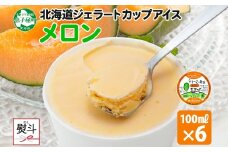2339. 無地熨斗 くりーむ童話 カップアイス メロン 100ml×6個 アイスクリーム めろん アイス スイーツ おやつ 牛乳 ミルク 贈り物 gift ギフト プレゼント 詰め合わせ 送料無料 北海道 弟子屈町