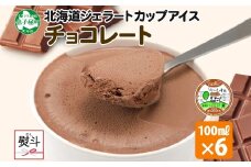 2342. 無地熨斗 くりーむ童話 カップアイス チョコレート 100ml×6個 チョコ アイスクリーム アイス スイーツ ミルク 贈り物 ギフト プレゼント 詰め合わせ 送料無料 北海道 弟子屈町
