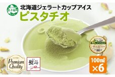 2349. 無地熨斗 くりーむ童話 カップアイス ピスタチオ 100ml×6個 アイスクリーム アイス スイーツ 牛乳 ミルク 贈り物 gift ギフト プレゼント 詰め合わせ 送料無料 北海道 弟子屈町