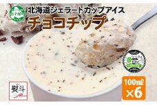 2347. 無地熨斗 くりーむ童話 カップアイス チョコチップ 100ml×6個 アイスクリーム アイス スイーツ 牛乳 ミルク 贈り物 gift ギフト プレゼント 詰め合わせ 送料無料 北海道 弟子屈町