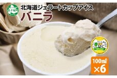 2329. くりーむ童話 カップアイス バニラ 100ml×6個 アイスクリーム アイス スイーツ おやつ 牛乳 ミルク 贈り物 gift ギフト プレゼント 詰め合わせ 送料無料 北海道 弟子屈町