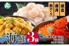 【年末配送可能 受付9月まで】3352.うに100g×2 鱒いくら醤油漬け100g×2 ホタテ300g 3種 セット ウニ 雲丹  鱒 イクラ 醤油漬け ほたて 帆立 海鮮 冷凍 海鮮丼 送料無料 北海道 弟子屈町