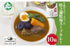 3023. ビーフ スープカレー 300g 10箱 カレー ビーフカレー スープ 牛 牛肉 放牧牛 牧場 レトルトカレー レトルト食品 レトルト 湯煎 レンジ 牧之瀬牧場 送料無料 北海道 弟子屈町