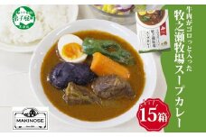 3024. ビーフ スープカレー 300g 15箱 カレー ビーフカレー スープ 牛 牛肉 放牧牛 牧場 レトルトカレー レトルト食品 レトルト 湯煎 レンジ 牧之瀬牧場 送料無料 北海道 弟子屈町