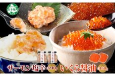 3386. サーモン塩辛 120g いくら醤油漬け 80g 各2個 小分け サーモン 鮭 さけ サケ いくら イクラ 漬け 醤油漬け おつまみ 海鮮 ご飯のお供 数量限定 送料無料 北海道 弟子屈町
