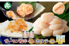 3435. サーモン塩辛 120g 2個 ホタテ 100g 3袋 小分け サーモン 鮭 さけ サケ いくら ほたて 貝 魚介 海鮮 ご飯のお供 冷凍 数量限定 送料無料 ギフト 北海道 弟子屈町