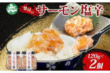 3112. サーモン塩辛 120g 2個 小分け サーモン 塩辛 鮭 さけ サケ いくら 漬け おつまみ アレンジ 海鮮 ご飯のお供 グルメ 冷凍 数量限定 送料無料 瓶 ギフト 北海道 弟子屈町