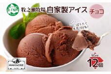 3221. 牧之瀬牧場 自家製アイス チョコ 90ml 12個 アイス 氷菓子 チョコ味 チョコレート フレーバー 牧場 手作り セット おやつ デザート スイーツ 冷凍 ギフト 送料無料 北海道 弟子屈町