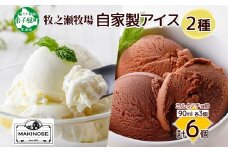3224. 牧之瀬牧場 自家製アイス 2種 各3個 計6個 ミルク チョコ オリジナル アイス 生乳 牛乳 フレーバー 牧場 デザート 手作り セット  スイーツ 冷凍 送料無料 北海道 弟子屈町