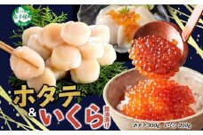 3365.  ホタテ 300g いくら醤油漬け200g 海鮮 2種セット いくら イクラ いくら醤油 帆立 玉冷 北海道産 ほたて 貝柱 バター焼き 刺身 魚卵 海鮮丼 つまみ おつまみ ごはんのおとも おかず 丼 贅沢 おもてなし 送料無料 北海道 弟子屈町