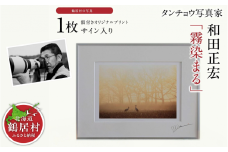 タンチョウ写真家  和田正宏  額付きオリジナルプリント「霧染まる」(サイン入り)