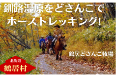 【北海道鶴居村】どさんこ牧場ホーストレッキング1日コース 昼食付(1名様)  乗馬体験 大自然 釧路湿原 散歩