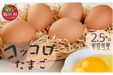 【北海道鶴居村産】コッコロたまご　2.5㎏+破卵保障10個入り