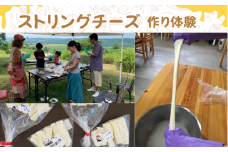 【北海道鶴居村】ストリングチーズ作り体験(2名) 北海道 チーズ 酪農 乳製品 ミルク