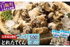 白糠煮つぶ とれたてくん 500g × 2個 つぶ貝 灯台つぶ 塩ゆで ふるさと納税 北海道 白糠町