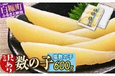 訳あり 塩数の子 200g × 3 数の子 北海道産 松前漬 かずのこ 冷凍数の子 小分け 魚卵 贈与 ギフト ふるさと納税 北海道 白糠町 