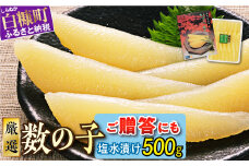 大手百貨店も扱う品質 塩数の子 塩水漬け 500g おせち お正月 数の子 かずのこ 塩数の子 塩かずのこ つまみ 北海道 海鮮 人気 グルメ 食べ物 魚卵 魚 魚介 北海道 白糠町