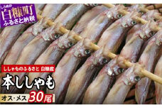しらぬか産 本ししゃも 30尾 オスメス 各15尾 ししゃも シシャモ 子持ちししゃも 卵 魚卵 魚 魚介 国産 北海道 北海道産 ふるさと納税