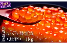 シラリカいくら(醤油味) 1kg(250g×4) いくら イクラ 小分け 国産 完熟卵のみ 20杯分 極上品 賞味期限1年以上 鮮度抜群 いくら醤油漬 鮭いくら 鮭イクラ イクラ醤油漬 鮭 鮭卵 いくら醤油漬け イクラ醤油漬け ikura いくら醤油漬 醤油いくら 醤油イクラ 冷凍いくら 冷凍イクラ 醤油鮭いくら 醤油鮭イクラ 人気 ふるさと納税 ふるさとチョイス 北海道 白糠町