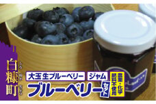 農薬・化学肥料不使用ブルーベリーセット