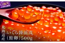 シラリカいくら(醤油味) 500g いくら イクラ 小分け 国産 極上品 完熟卵のみ 賞味期限1年以上 鮮度抜群 いくら醤油漬 鮭いくら 鮭イクラ イクラ醤油漬 鮭 鮭卵 いくら醤油漬け イクラ醤油漬け ikura いくら醤油漬 醤油いくら 醤油イクラ 冷凍いくら 冷凍イクラ 醤油鮭いくら 醤油鮭イクラ 鮭いくら醤油漬 ふるさと納税 ふるさとチョイス