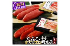 たらこ・辛子明太子セット 【各250g×1】明太子 たらこ 北海道 めんたいこ 辛子明太子 人気 ランキング 魚介類 魚介 海鮮 グルメ ごはんのお供 白米 魚卵 プチプチ食感 北海道 白糠町