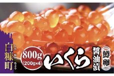 いくら醤油漬 鱒卵 800g（200g × 2パック × 2箱） いくら イクラ 小分け イクラ醤油漬 いくら醤油漬け イクラ醤油漬け ikura 醤油いくら 醤油イクラ 冷凍いくら 冷凍イクラ 人気いくら 人気イクラ 大人気いくら人気 ふるさと納税 ふるさとチョイス 北海道 白糠町