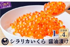 年4回!シラリカいくら(醤油味)定期便【1kg(250g×4)×4回】