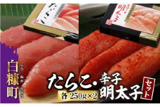 たらこ・辛子明太子セット 250g × 2 たらこ タラコ めんたいこ 辛子めんたいこ 海鮮 人気 セット 小分け 魚介類 魚介 海鮮 ごはんのお供 おかず 白米 魚卵 極上 プチプチ食感 新鮮 冷凍  茶漬け 磯辺焼き 明太子スパゲッティ直送 ギフト ふるさと納税 ふるさとチョイス チョイス 北海道 白糠町